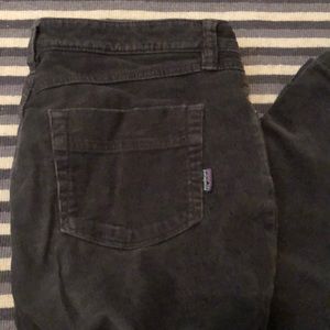 Patagonia cords